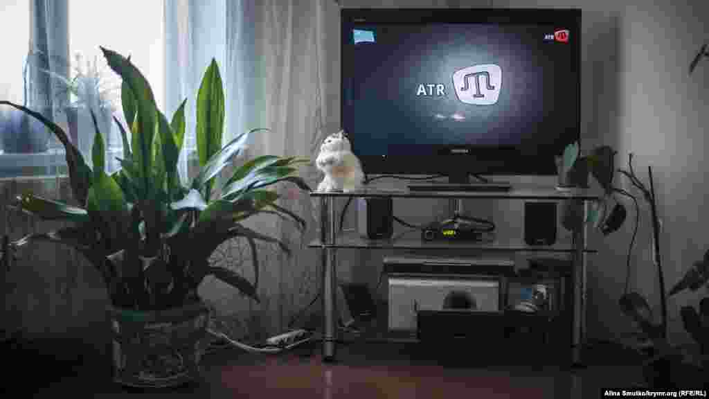 У вітальні будинку Джеппарових