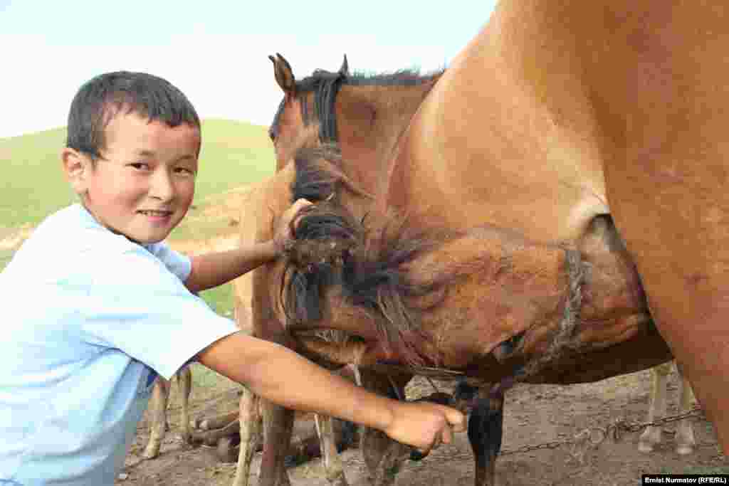 Дети в горах с детства учатся к общению с лошадями