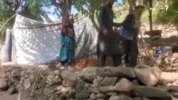 له پاکستانه کونړ ته ستانه شوي کډوال زلزلې اغېزمن کړي دي