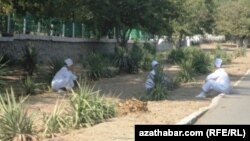 Врачи на субботнике убирают территорию больницы. Ашхабад (иллюстративное фото)  