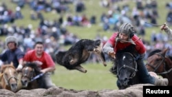 Кыргызстан. Кок-бору. Иллюстративное фото.