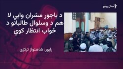 د باجوړ مشرانو طالبانو ته ویلي خلک له ناامنۍ په تنګ دي

