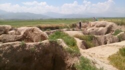 «Бурана» шаар чалдыбары - айтылуу Баласагындын урандылары. 7-июнь, 2015-жыл.