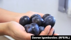 Аксылыктар кара өрүктү кайналы дешет.