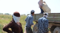 Diňle: Türkmenistanda öňki tussaglar mejbury ýagdaýda pagta ýygymyna sürülýär