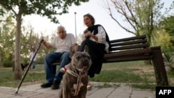 Іранцы з сабакам у парку ў Тэгеране, чэрвень 2025.