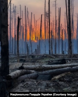 Серебрянський ліс на кадрах воїнів НГУ