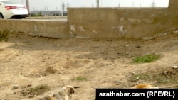 Микрорайон Мир-7, Ашхабад  