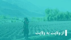 آصف رحیمی والی هرات در برنامهء "ولایت به ولایت"