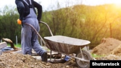 Акс аз бойгонӣ