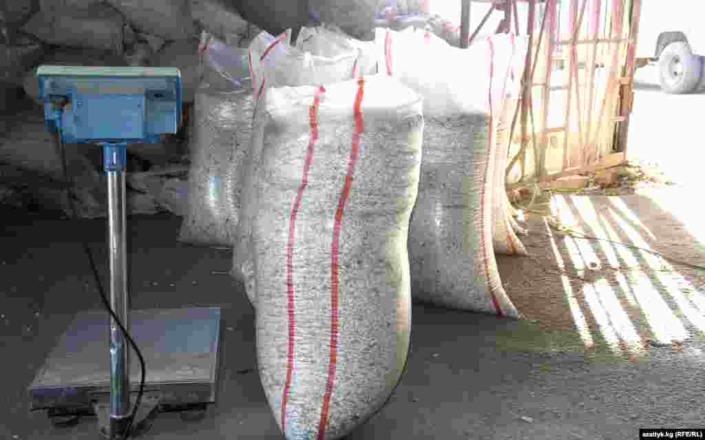 Төө буурчактын дүң баасынын жогору болушуна жылдагыдай далдалчылардын жок болушу да себеп.