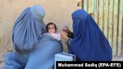 وزارت صحت عامه حکومت طالبان می‌گوید، تیم‌های ذکور واناث در این کمپاین سهیم هستند.