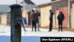 Бишкектеги жаңы конушта. 