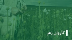  جامعه جهانی از تولید مواد مخدر کیمیاوی در افغانستان و ادامه قاچاق تریاک نگران است