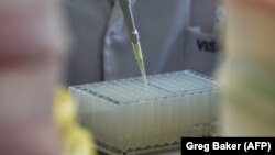 Иллюстрациялык сүрөт. 