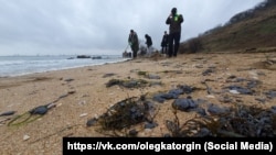 Волонтери збирають мазут на березі Керчі після руйнування російських танкерів у Керченській протоці у грудні 2024 року