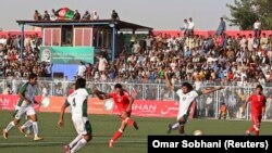 تصویر جنبهٔ تزئینی دارد 