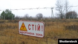 За ці роки територія Чорнобильської зони відчуження стала великою екологічною нішею