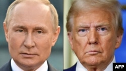 Владимир Путин и Дональд Трамп