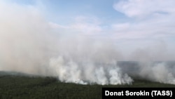 За даними екологів, ситуація навпаки погіршується