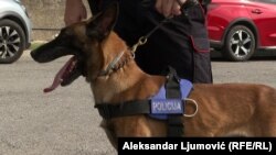 Policijski pas u Crnoj Gori