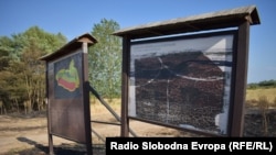 Sedam požara poharalo makedonsku obalu Prespanskog jezera