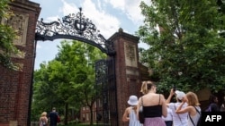 Вход в Гарвардский двор, часть кампуса Гарвардского университета