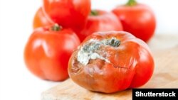  Adamlar aç galmajak bolup, möhleti geçen harytlary, şol sanda çüýrän gök-önümleri hem satyn alýandyklaryny aýdýarlar. (illýustrasiýa suraty)