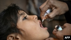 په پېښور کې یوه روغتیايي کارکوونکې یوې ماشومې ته د ګوزڼ واکسیني څاڅکي ورکوي - پخوانی انځور.