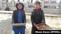 ارشیف: په فاریاب کې کاریګر ماشومان