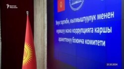 "Жалаа жапкандарды" жазалоо, фейктерге каршы күрөш. Талаштуу долбоор талкууда