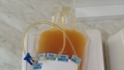 پلاسمای خون اهدا شده.