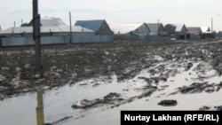 Улица безымянного поселка недалеко от села Жанашамалган в Карасайском районе, Алматинской области.      