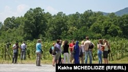 მედიატური კახეთში