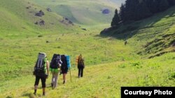 Иллюстрациялык сүрөт. 