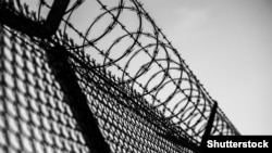 Illýustrasiýa suraty