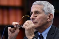 დოქტორი ენტონი ფაუჩი, აშშ-ის ალერგიისა და ინფექციური დაავადებების ეროვნული ინსტიტუტის დირექტორი.