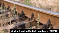 Ілюстраційне фото