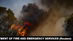 Incendii de vegetație în Red Gully, vestul Australiei.