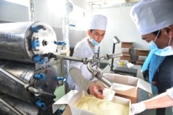 Cүт комбинаттын жумушчулары жумуш учурунда.