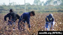 Иллюстративное фото 