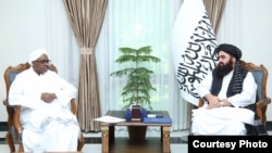 د طالبانو د بهرنيو چارو وزير امیر خان متقي او د افغانستان لپاره د اسلامي همکاریو سازمان ځانګړي استازي طارق علي بخیت د نومبر پر ۱۳مه په کابل کې ملاقات وکړ.
