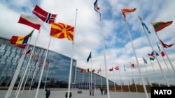 بیرق های کشورهای عضو ناتو