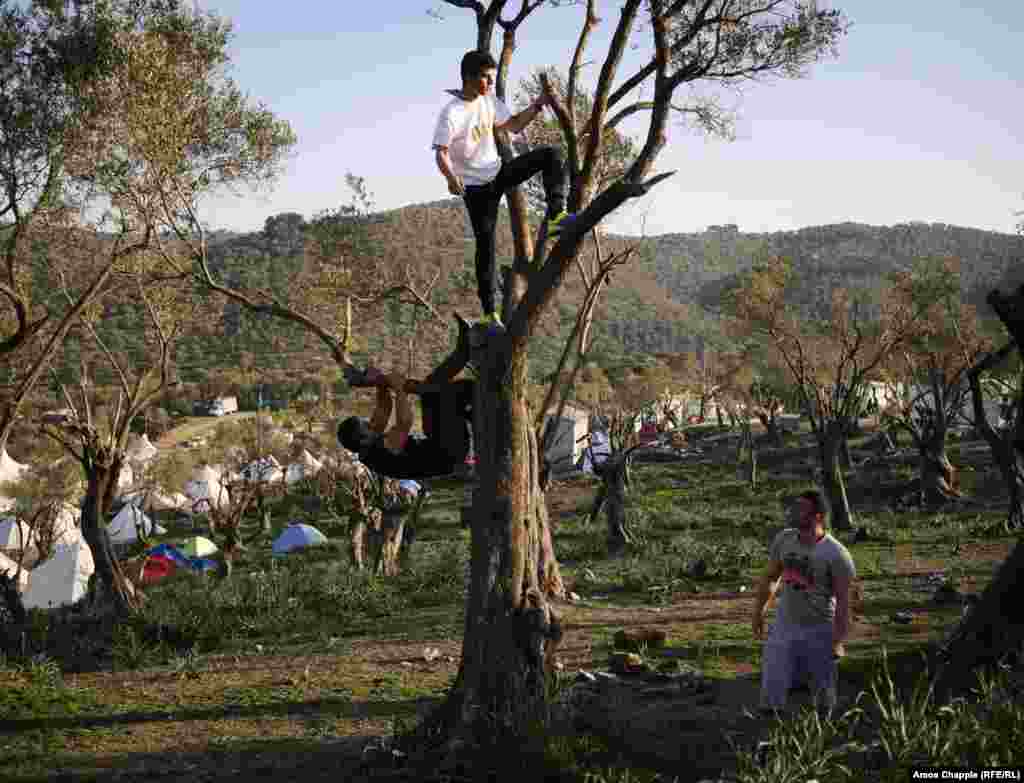 Эти три иранца находятся в лагере на острове Лесбос очень давно. Один из них, Алиреза Хоссейни (в центре), говорит: "Мы будем ждать здесь и год, и два, но в Иран точно не вернемся никогда".