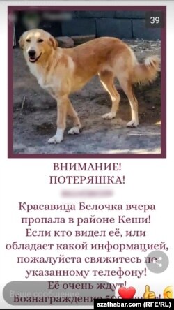 Объявление в ИМО