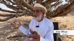 په عمان کې له کنډ یا چیړ نه تېل، عطر او درمل جوړول کېږي