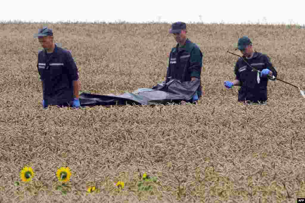 Ukrainian rescue workers carry the body of a victim away from a crash site on a stretcher through a wheat field near Hrabove on July 19.&nbsp;