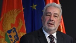 Krivokapić - Suza radosnica