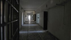 Türkmen häkimiýetleri ony öli görkezdiler