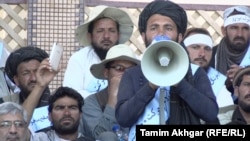 آرشیف، تعدادی از اعضای حرکت مردمی صلح 